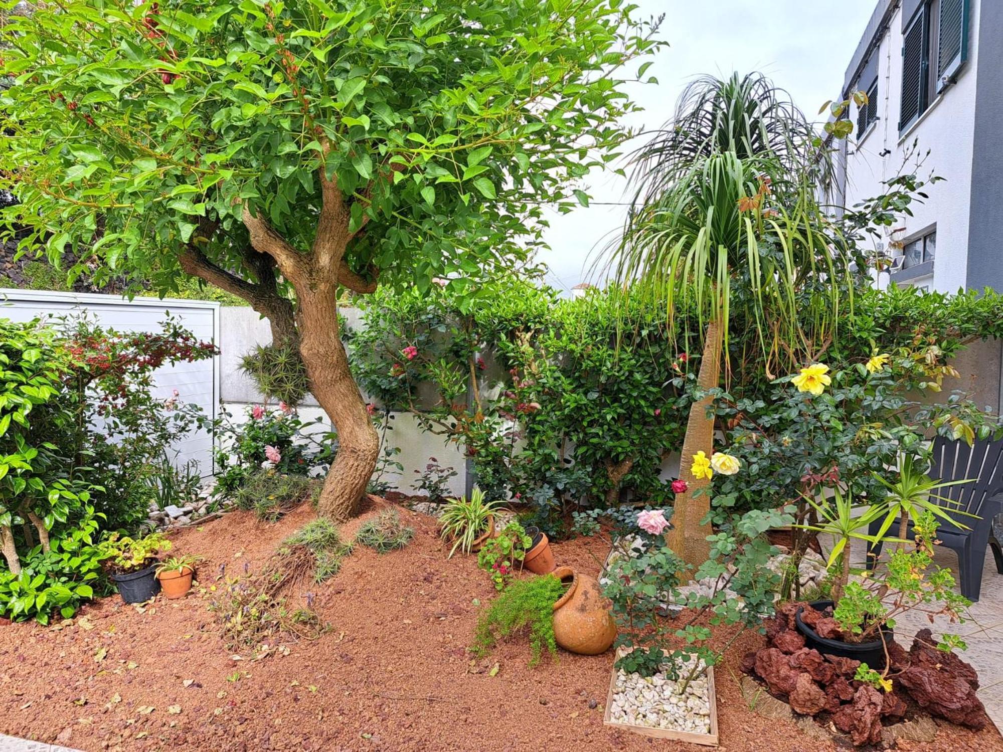 Friends'House - Azores Lagoa  Exterior photo